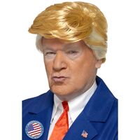 President Wig Costume Accessory