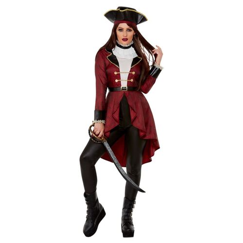 Swashbuckler Deluxe Pirate Adult Costume Size: Small